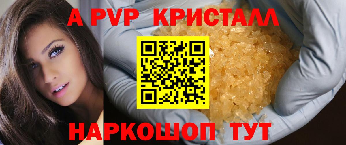 A-PVP СК Ярославль