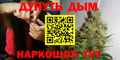 гашик Лесосибирск