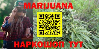 гашик Лесосибирск